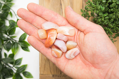 Apricot Agate - Tumbled Stone - In Hand