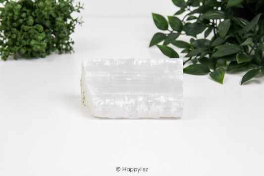 Selenite - Raw Chunk - No. 1