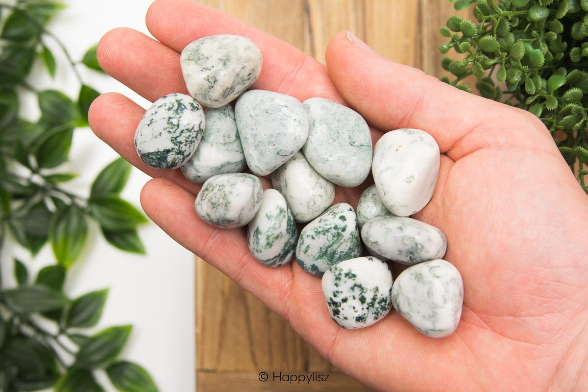 Tree Agate - Tumbled Stone - In Hand